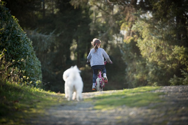 Cykeltur som oplevelse for kendere