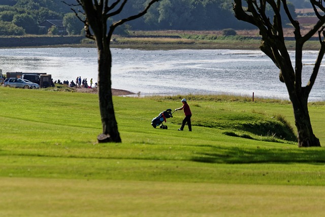 Sådan vælger du den perfekte elektriske golfvogn